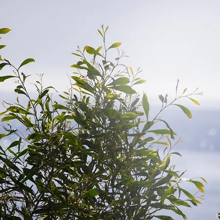 Appartement Due Mari